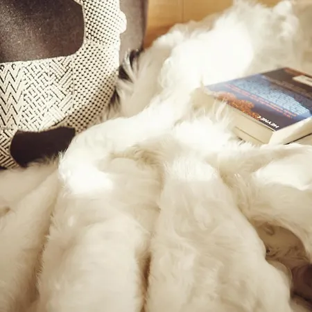 Private Homes By Solaria Ostrava