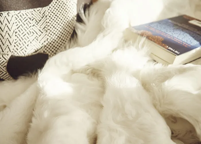 Private Homes By Solaria